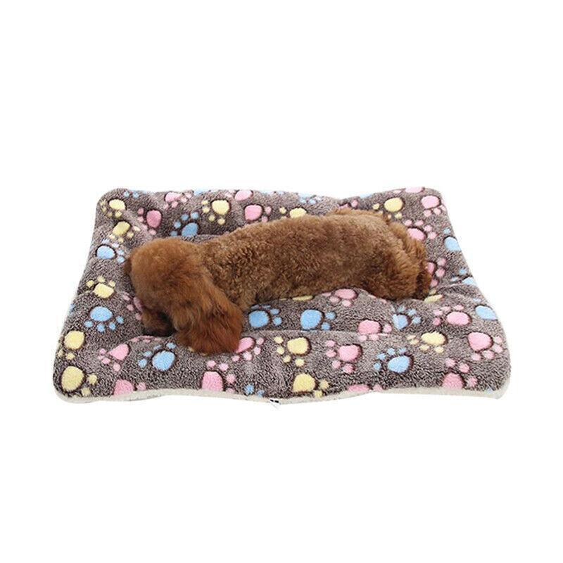 Arlo Pet Cushion Bed – Blue – Large