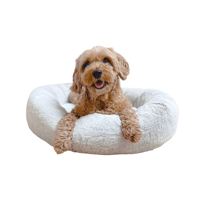 All Pet Supplies