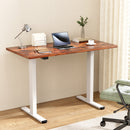 Standing Desk Motorised Dual Motor 120CM Rustic Brwon