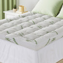 Restwell Mattress (Plush)